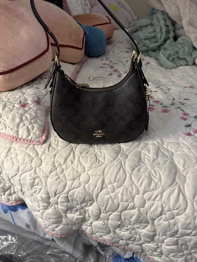 Coach Signature Canvas Mini Jamie Camera Bag or similar hobo/shoulder bag style - AI says Real