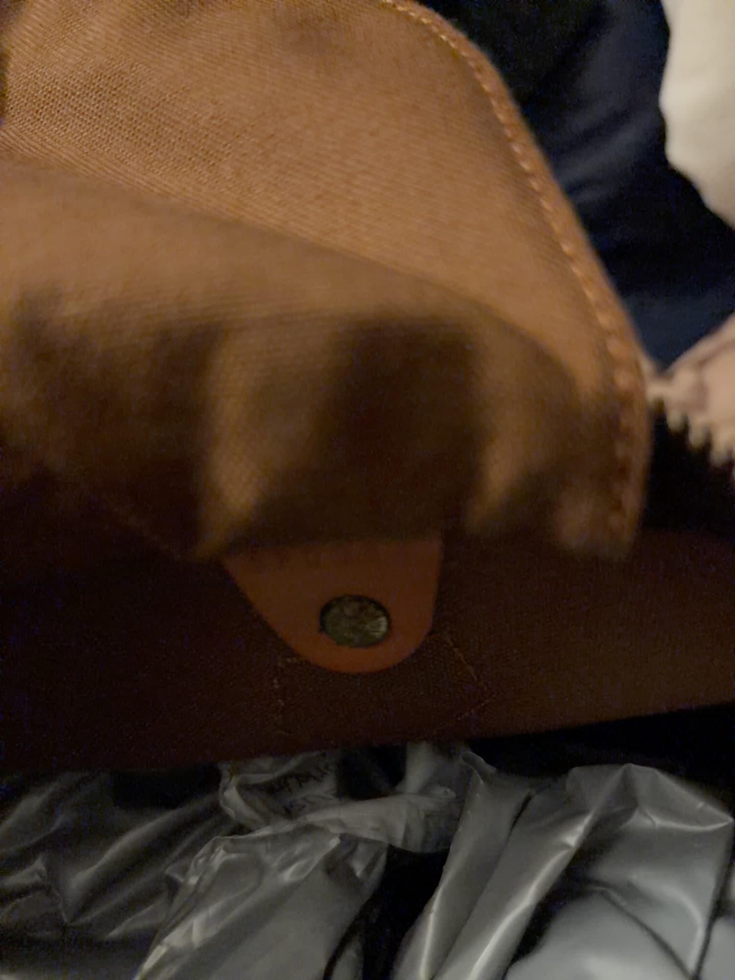 Leather/Canvas Handbag or Tote Bag - AI says Real - Image 1