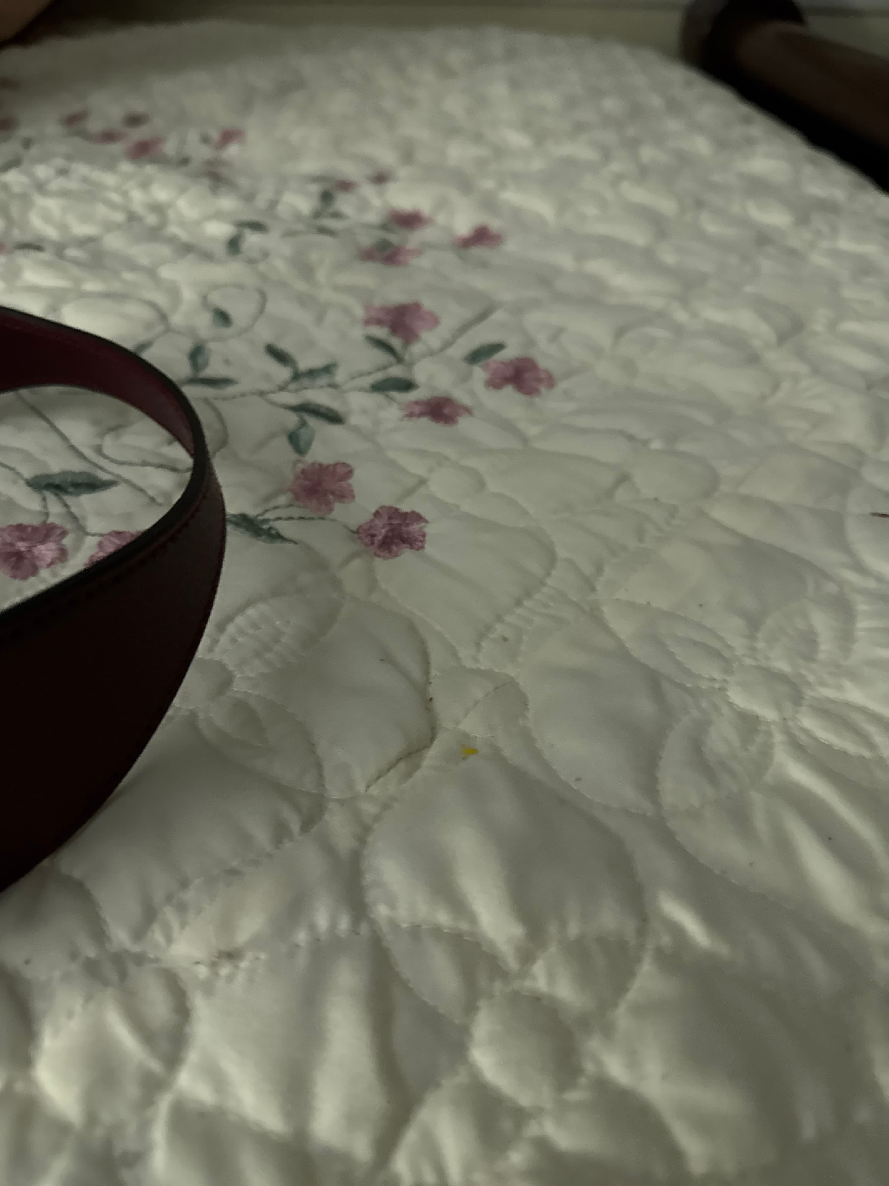 Gucci Ophidia GG Supreme Mini Bag - AI says Fake - Image 1