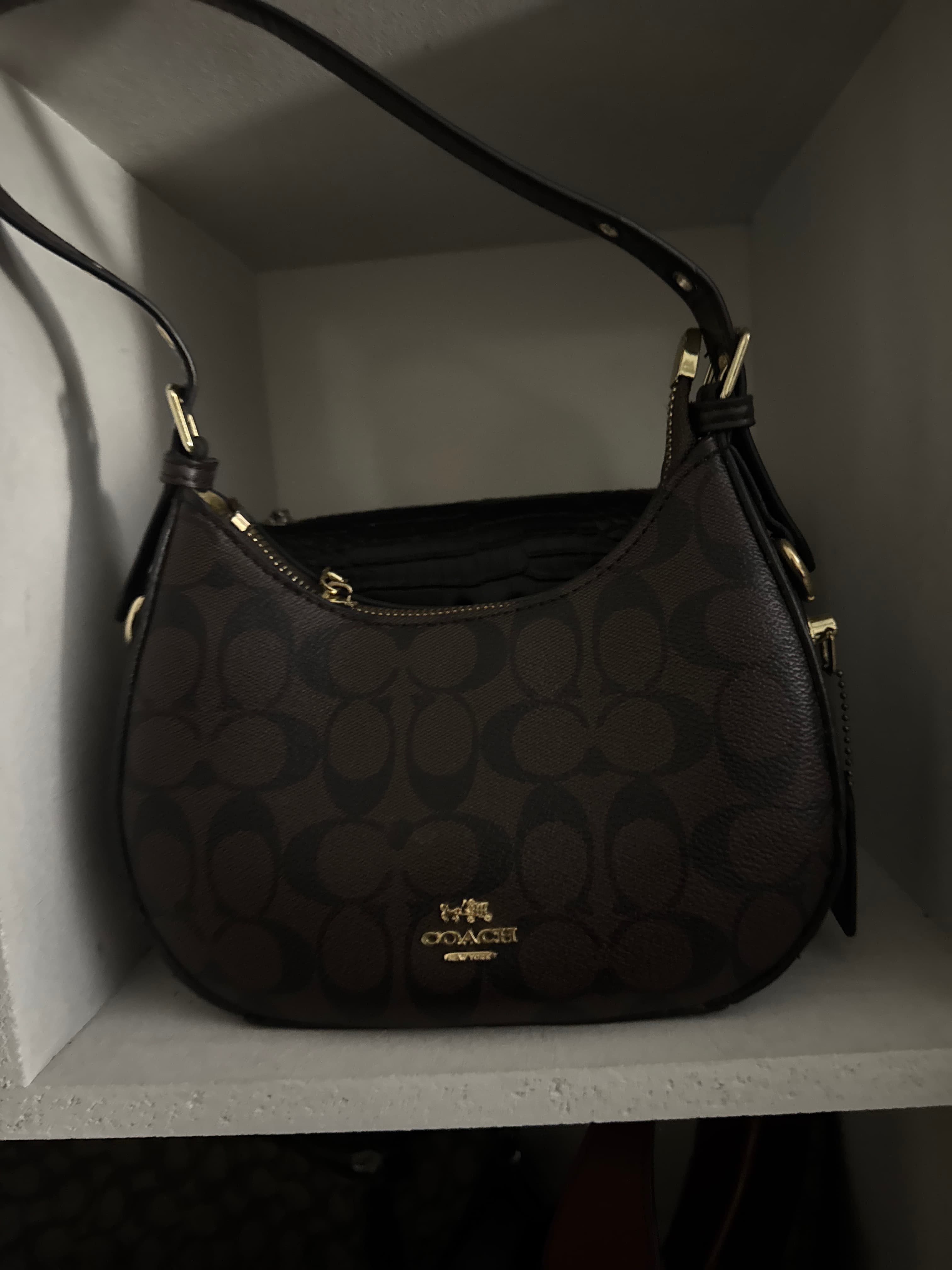Coach Signature Canvas Hobo Bag - AI says Real - Image 1