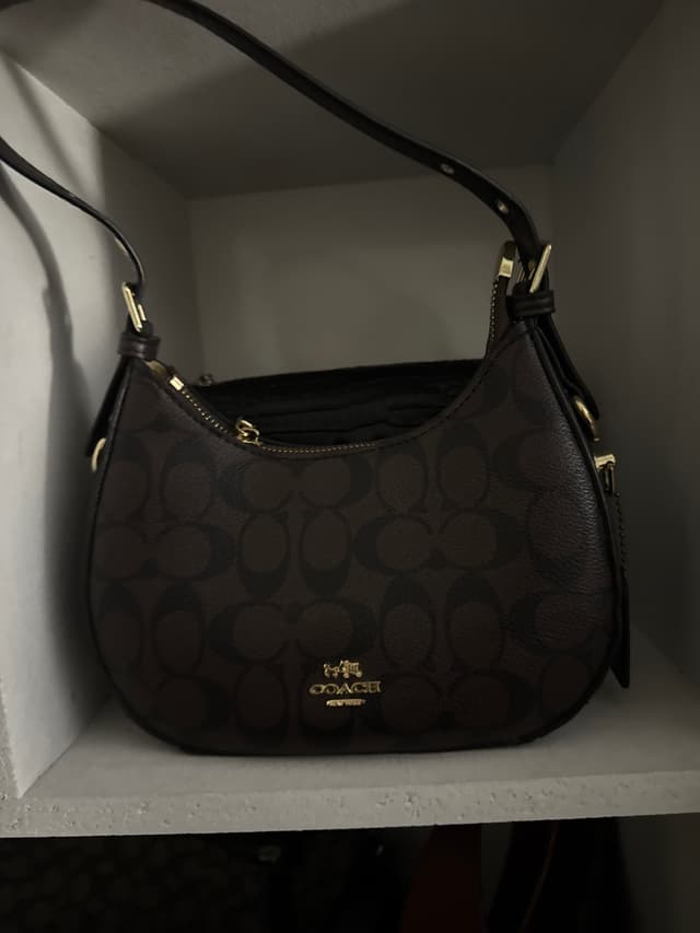 Coach Signature Canvas Hobo Bag - AI says Real