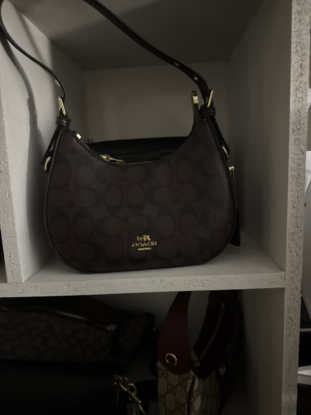 Coach Signature Canvas Hobo/Shoulder Bag - AI says Real