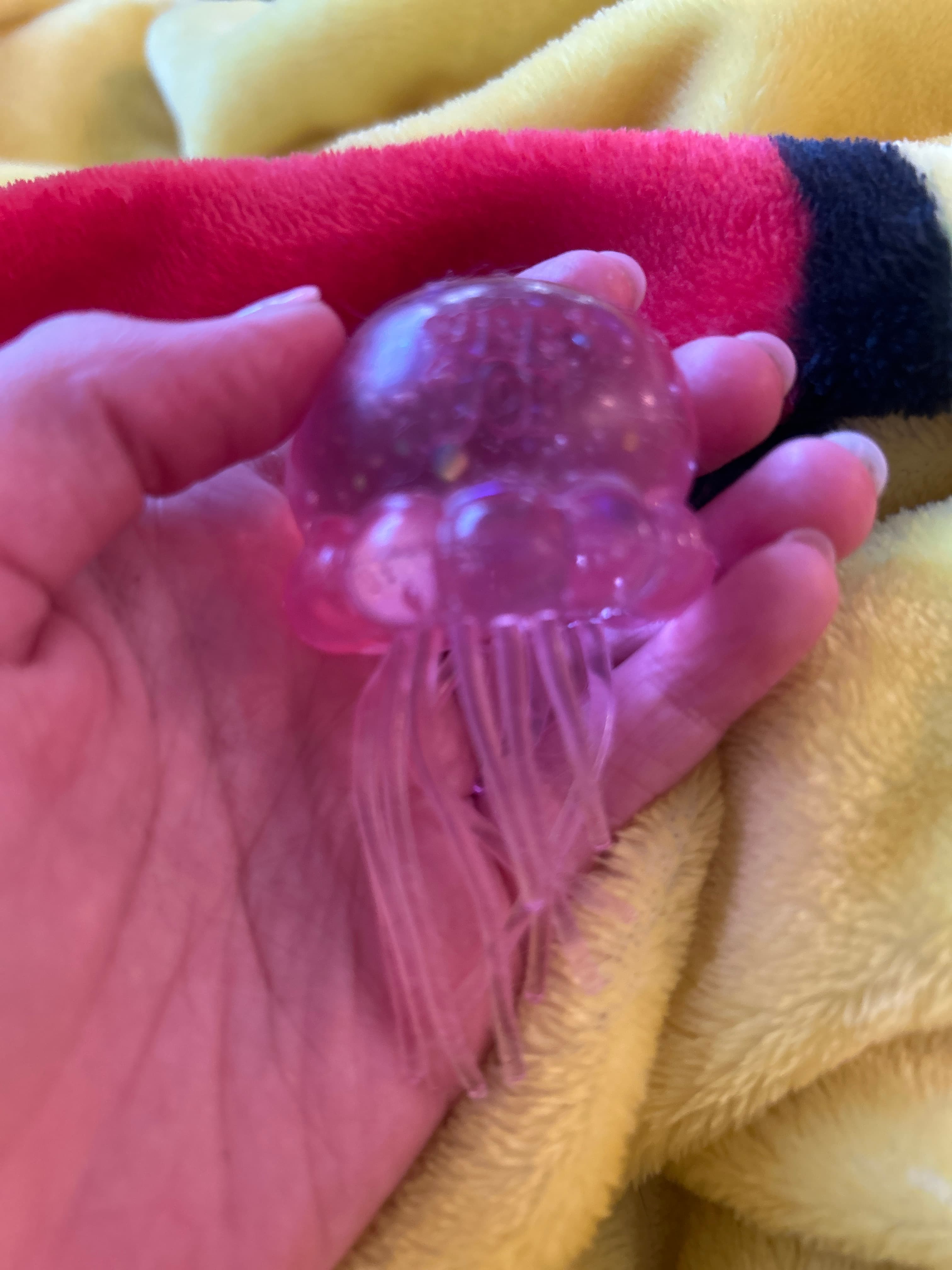 Jellyfish sensory/fidget toy - AI says Real - Image 1