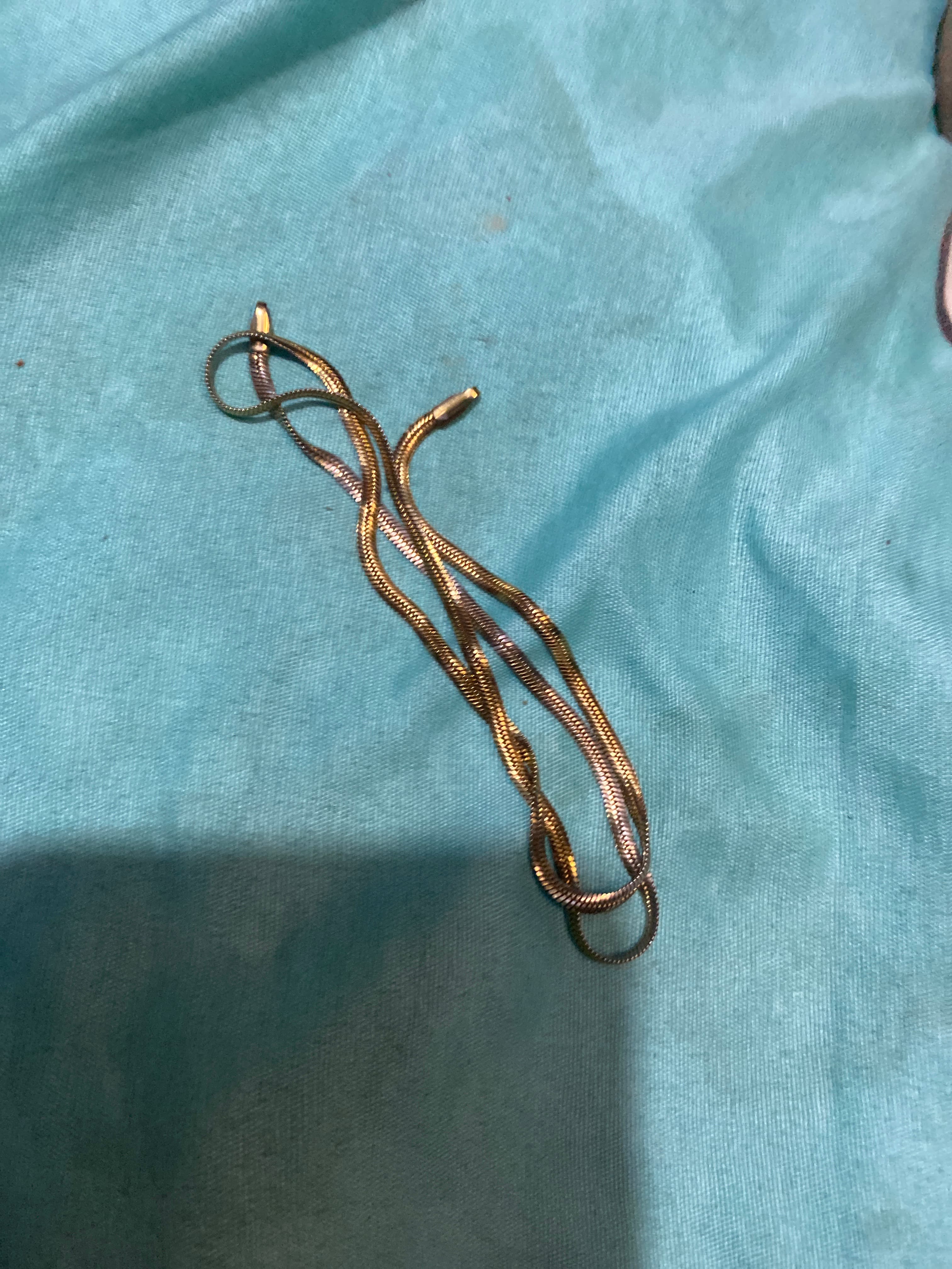 Snake chain necklace - AI says Real - Image 1