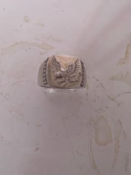 Eagle Signet Ring - AI says Fake